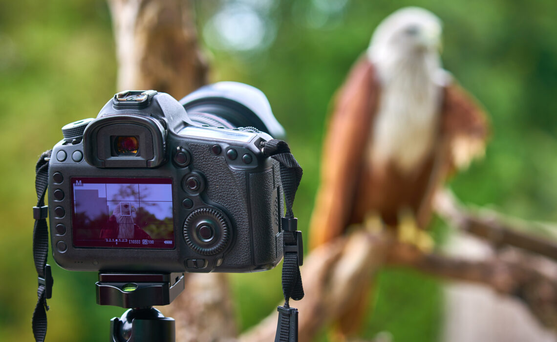 ¿Qué elementos necesita un fotógrafo?