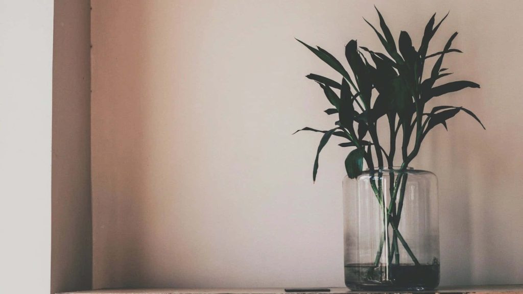 Aesthetic fotografía minimalista